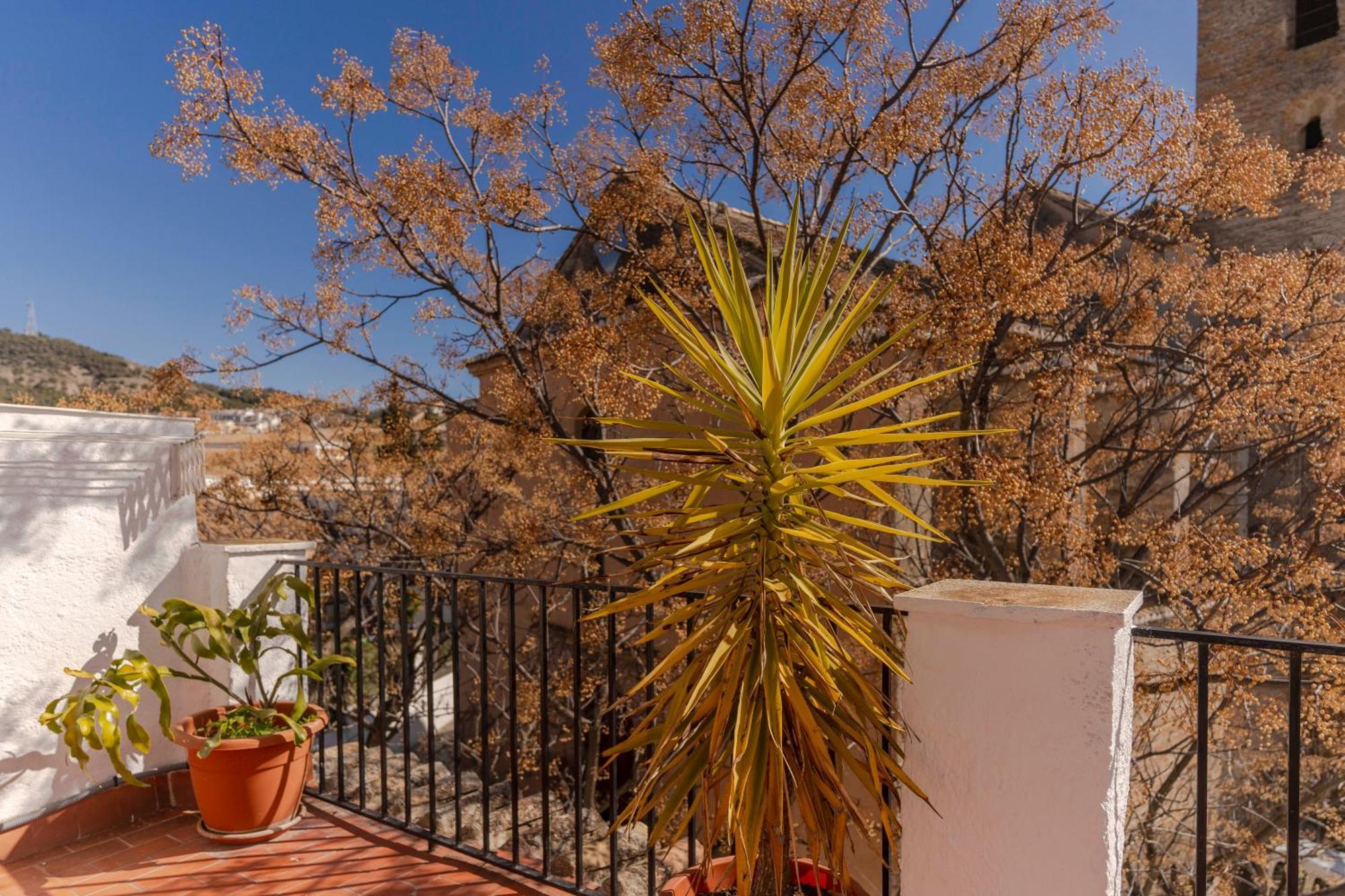 La Casita De La Plaza Villa Гранада Екстериор снимка